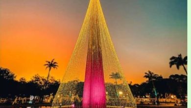 Parque Evaldo Cruz ficará fechado ao público de 1º a 5 de Dezembro para montagem do Natal Iluminado