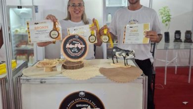 Queijaria Pedra D’Água lança queijo tipo reino e reforça vocação de Boa Vista para a produção artesanal