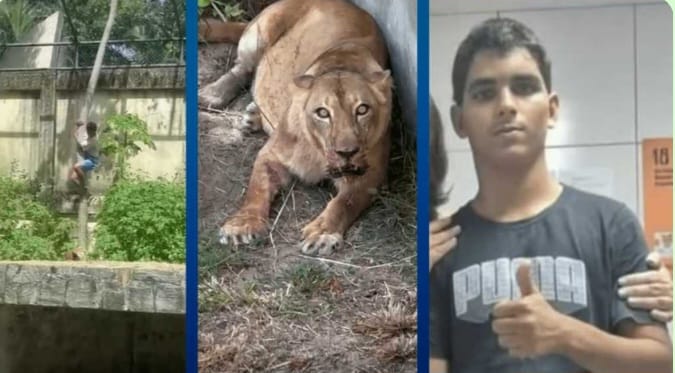 O que se sabe sobre a morte do jovem que invadiu jaula de leoa no zoológico de João Pessoa O que se sabe sobre a morte do jovem que invadiu jaula de leoa no zoológico de João Pessoa