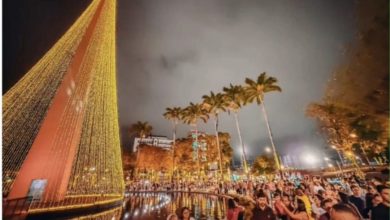 Réveillon: tradicional queima de fogos de Campina Grande acontecerá no mirante do Parque Evaldo Cruz