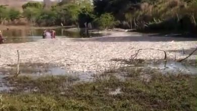 Fenômeno semelhante ao registrado em Campina Grande provoca desequilíbrio ambiental em açude da Fazenda Maria da Luz